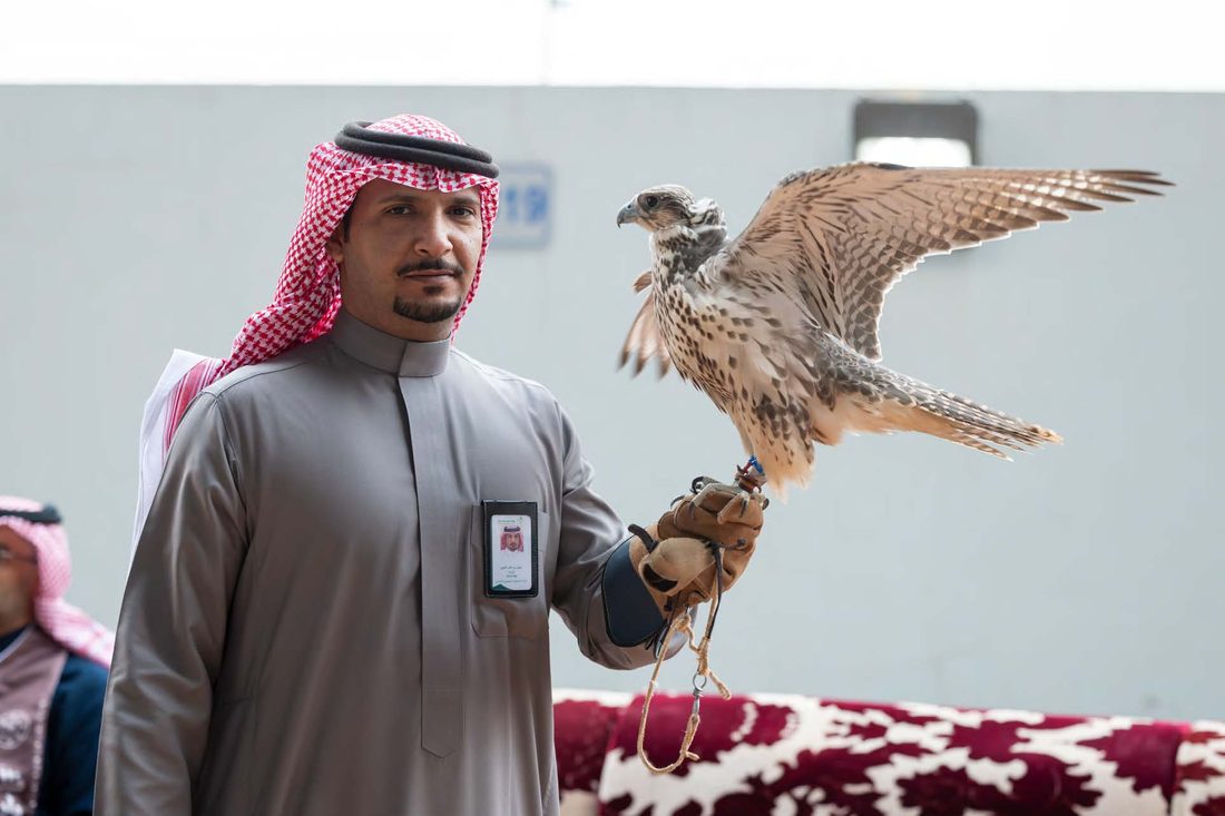 حملات وتسويق